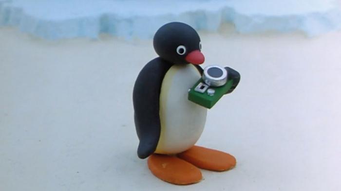 Pingu & The Camera