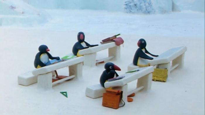 STG Pingu's Admirer