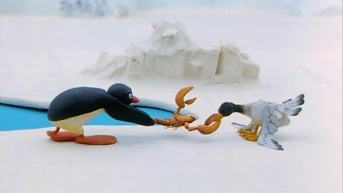 Pingu & The Seagull