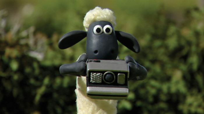 Shaun Shoots The Sheep