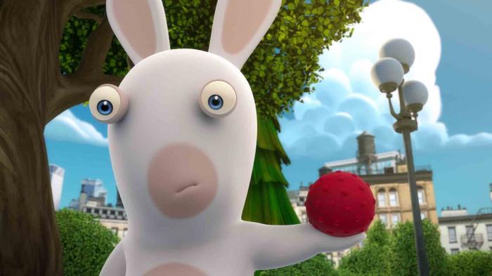 STG Rabbid Doggies