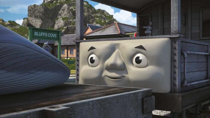 STG Toad & the Whale