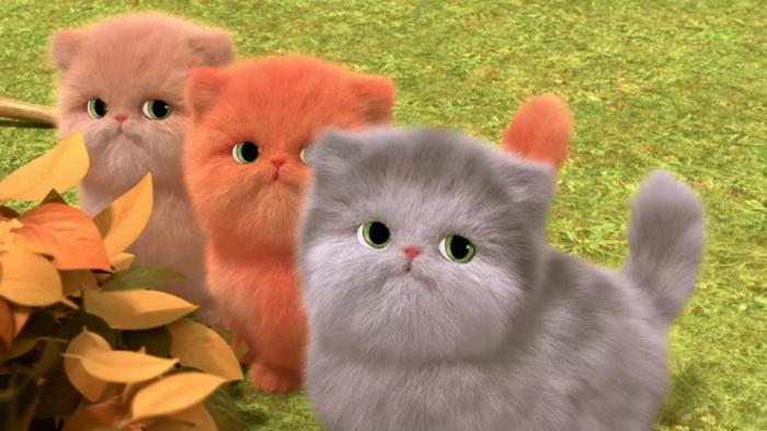 Three Noisy Kittens