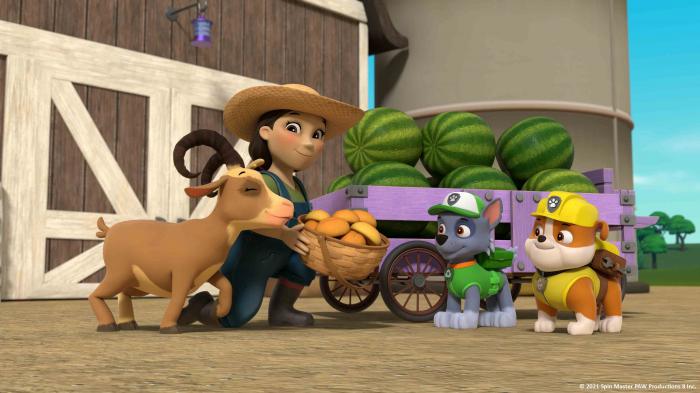 STG Pups Save a Flying Farmhouse