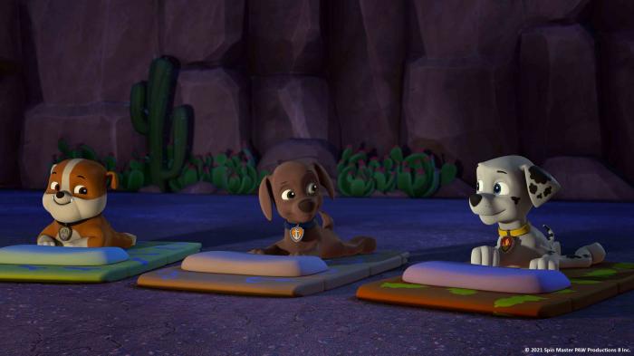 STG Pups Vs. Ouchy Paws