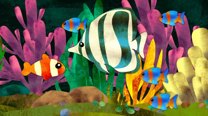 STG Classical Aquarium