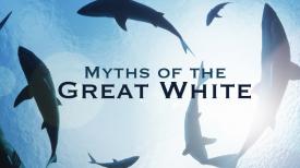 Myths of the Great White