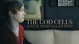 The God Cells: A Fetal Stem Cell Journey