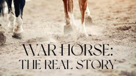 War Horse: The Real Story