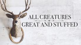 All Creatures Great And Stuffed