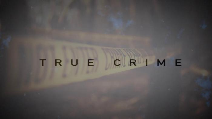 True Crime: Cold Cases: The Riddle of Cheslyn Hay