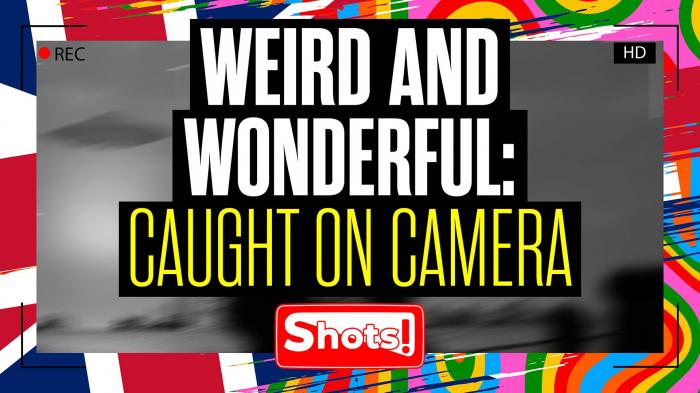 Weird and Wonderful: Caught on Camera