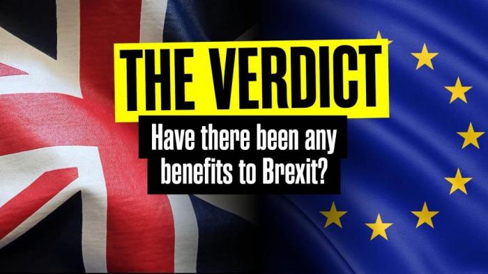 The Verdict: Brexit - good or bad?