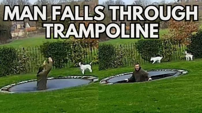Caught on Camera: Hilarious garden mishaps