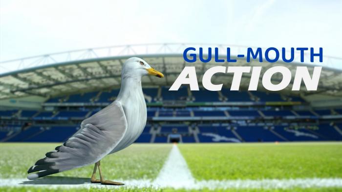 Gull-Mouth Action podcast: Albion ready for United