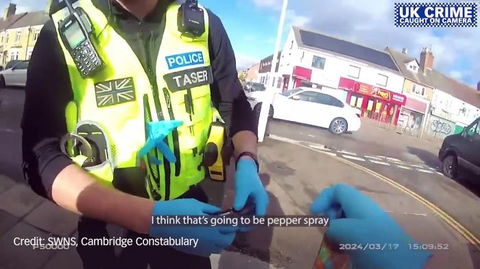 UK Crime Caught on Camera: Most watched stories of 2024