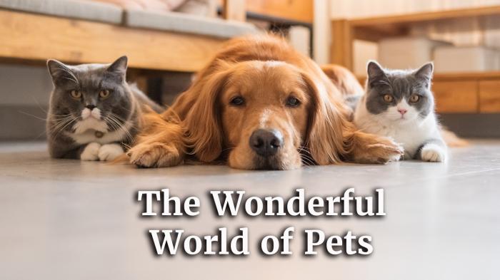 The Wonderful World of Pets