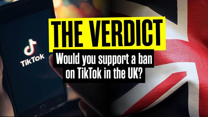 The Verdict: Should TikTok be banned?