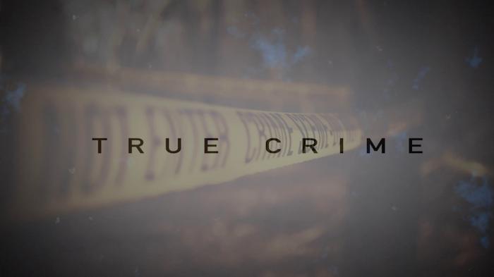 STG True Crime: Cold Cases: The Severed Head of Cheslyn Hay
