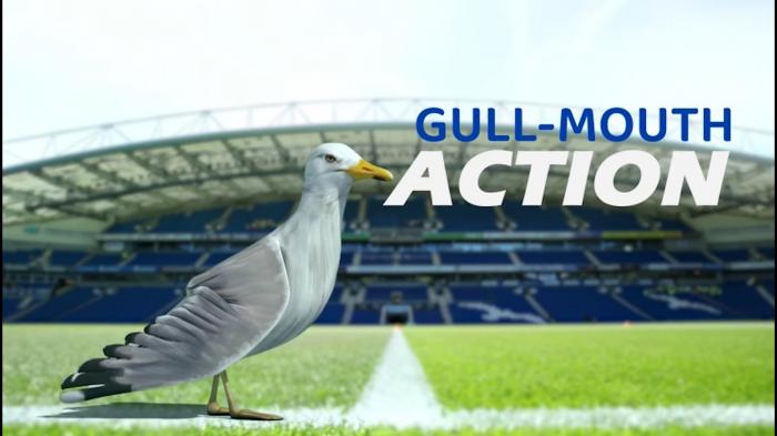 Gull-Mouth Action Crawley Town chief steps down