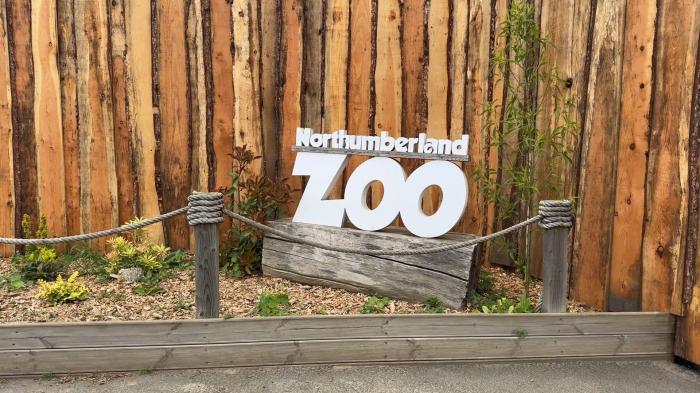 Northumberland Zoo accredited Leading Zoo in Europe