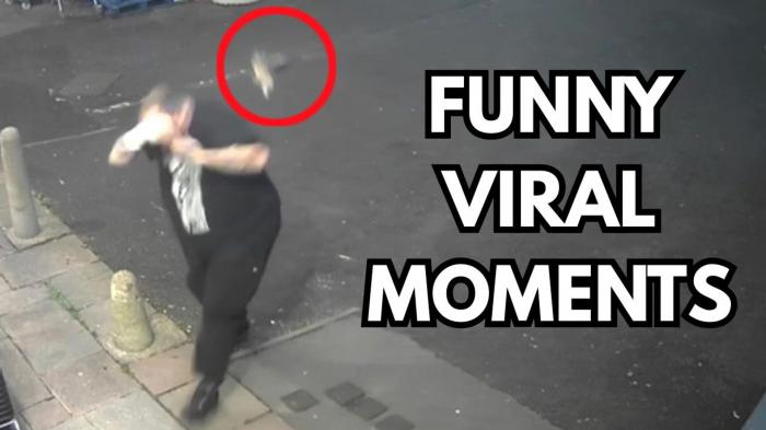 More viral moments | Caught on Camera