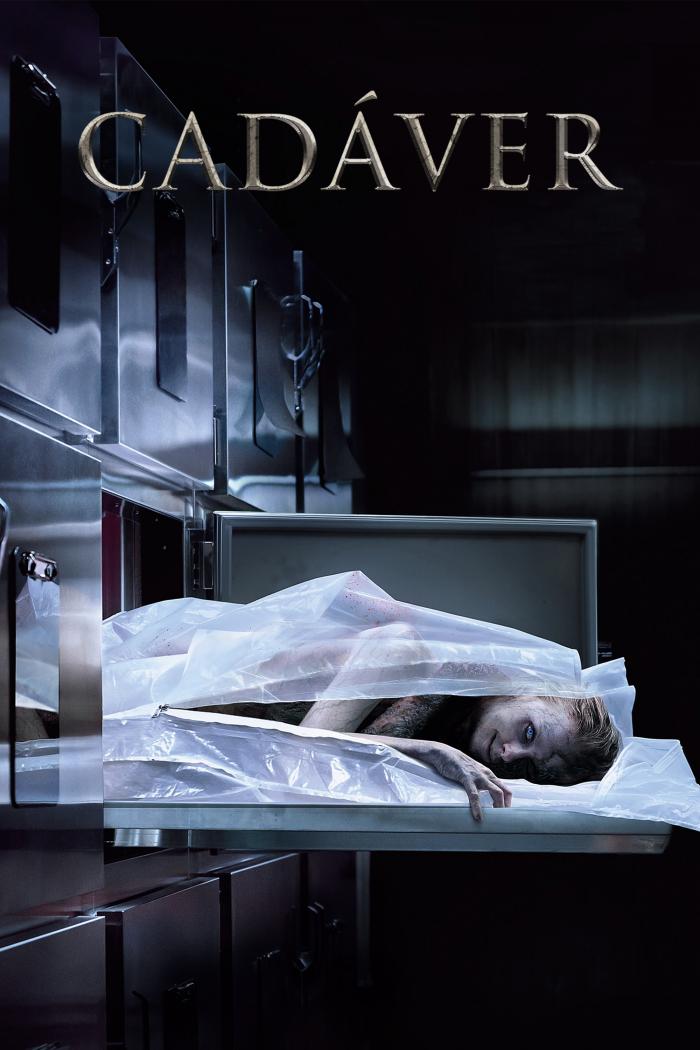 The Possession ff Hannah Grace