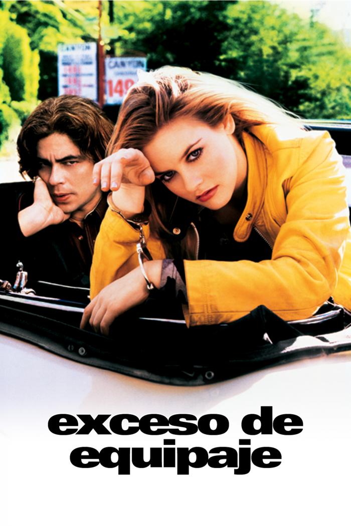 EXCESO DE EQUIPAJE