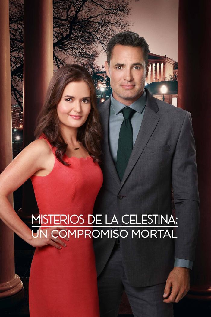 Matchmaker Mysteries: A Killer Engagement