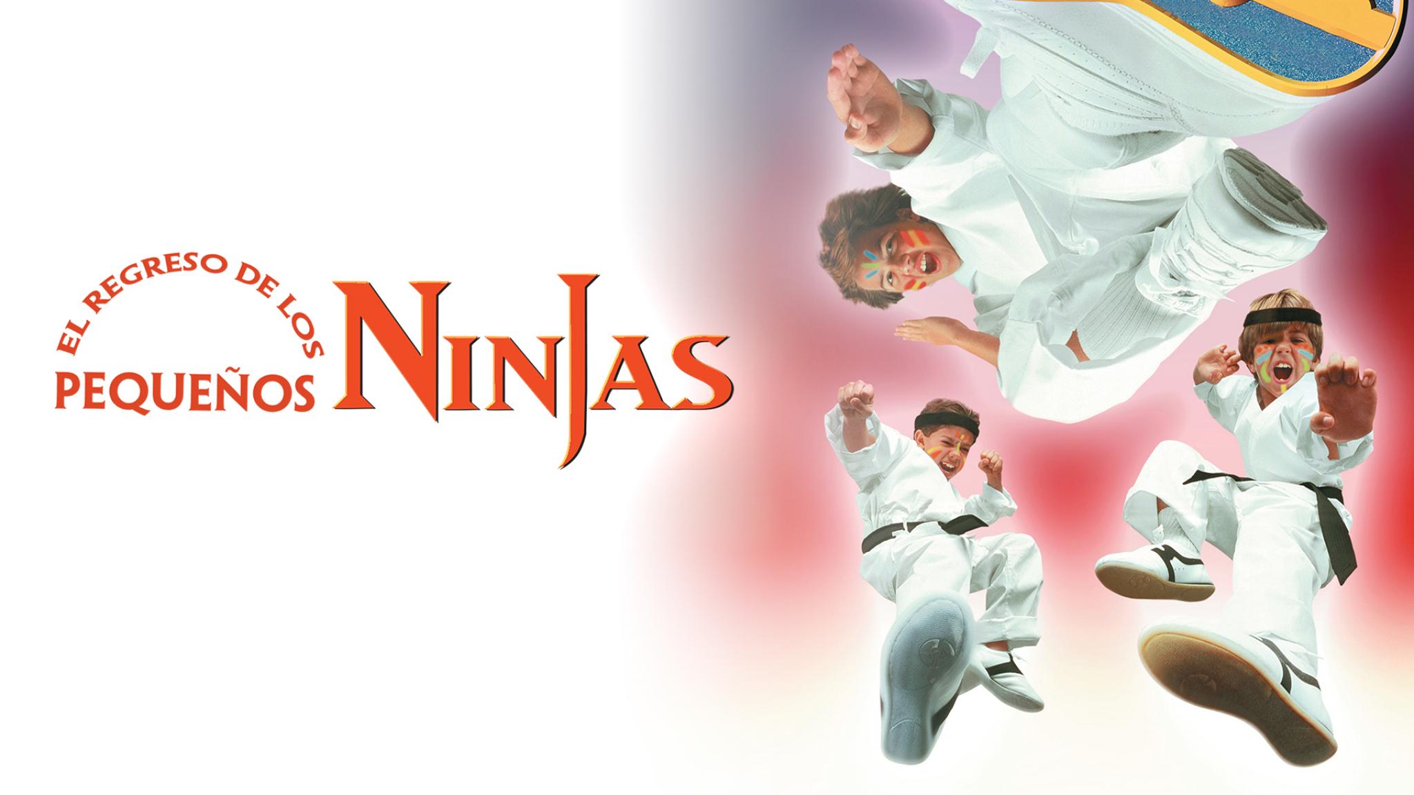 El Regreso de los Pequeños Ninjas