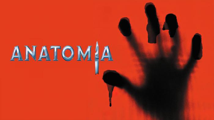 Anatomia