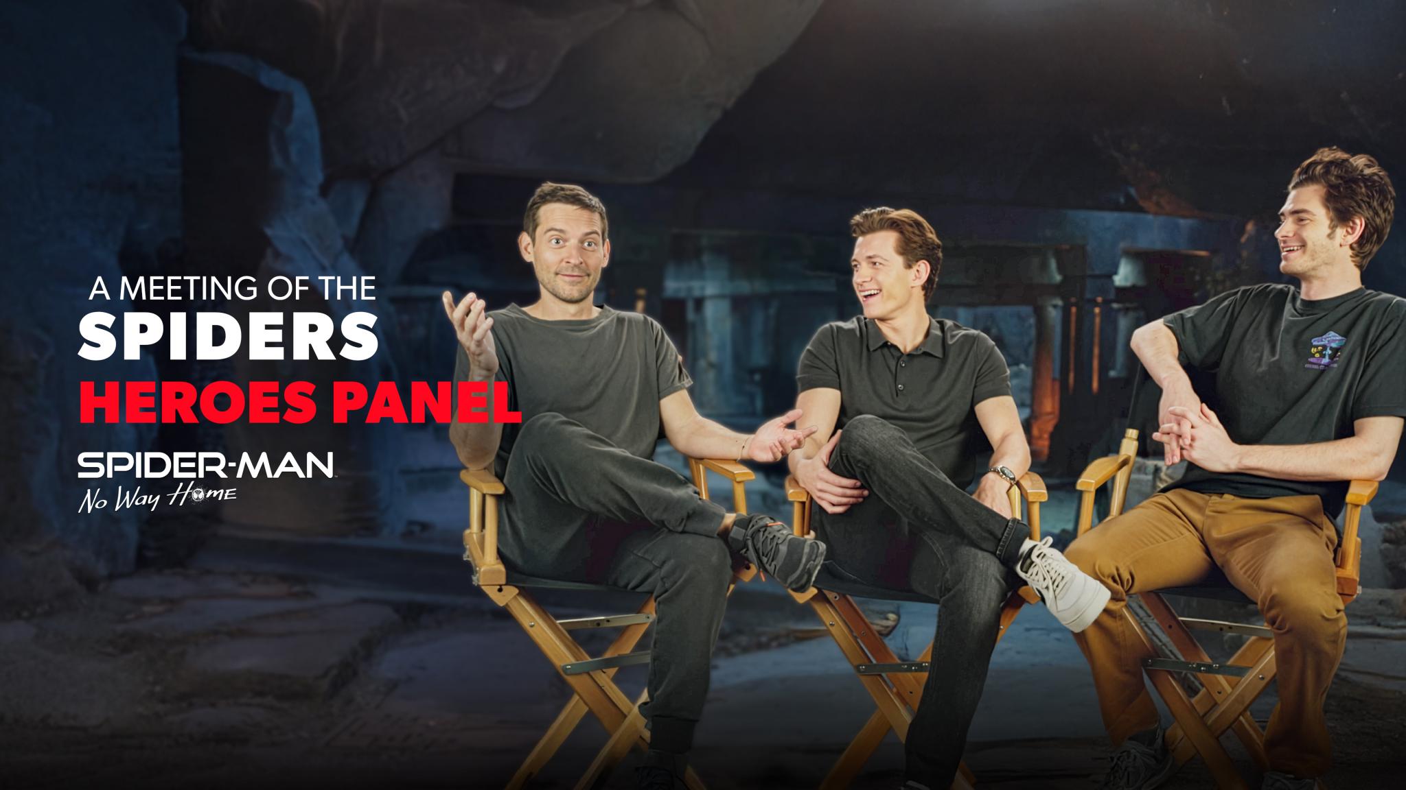 A Meeting of the Spiders: Heroes Panel