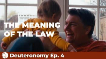 The Meaning of the Law