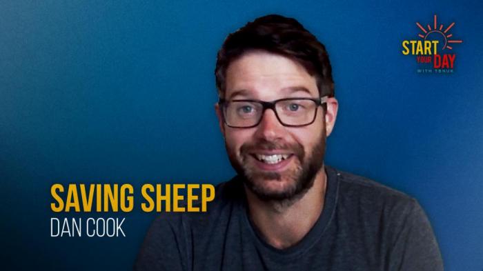 STG Saving Sheep with Dan Cook