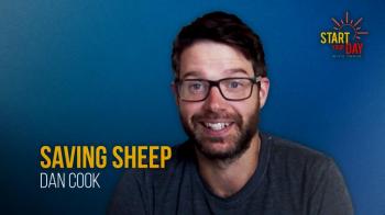 Saving Sheep with Dan Cook
