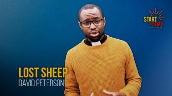 Lost Sheep with David Peterson
