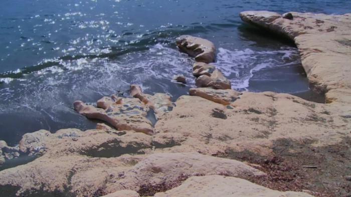 Rose in Paradise Master TBN H264_Custom