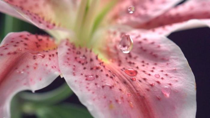 MIND-BLOWING! We are not alone!