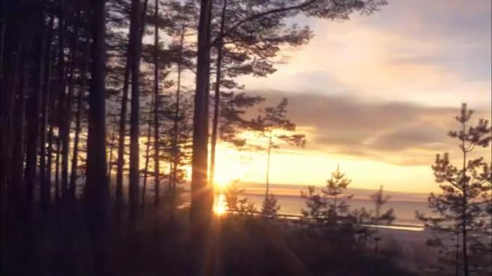 SCRIPT 02_60s-TV_Custom