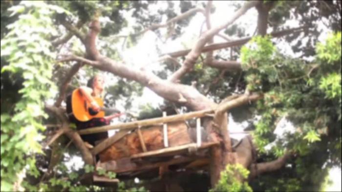 New Series: Radical Makeovers with Rebecca Friedlander