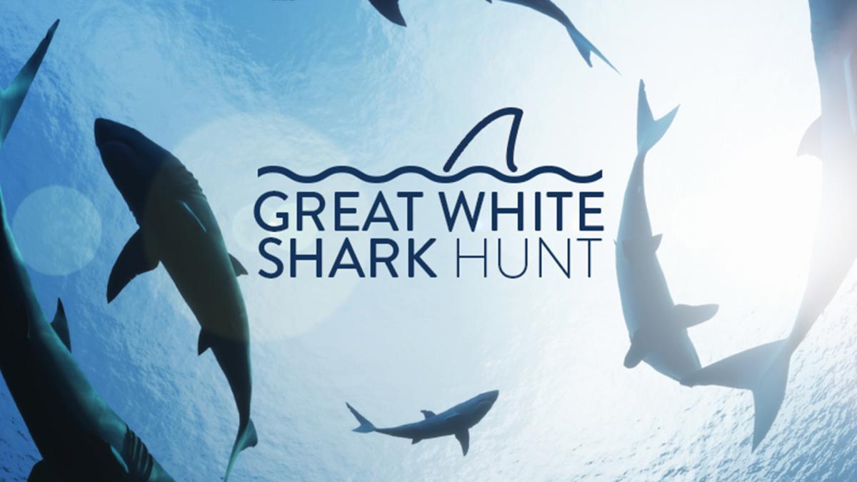 Great White Shark Hunt