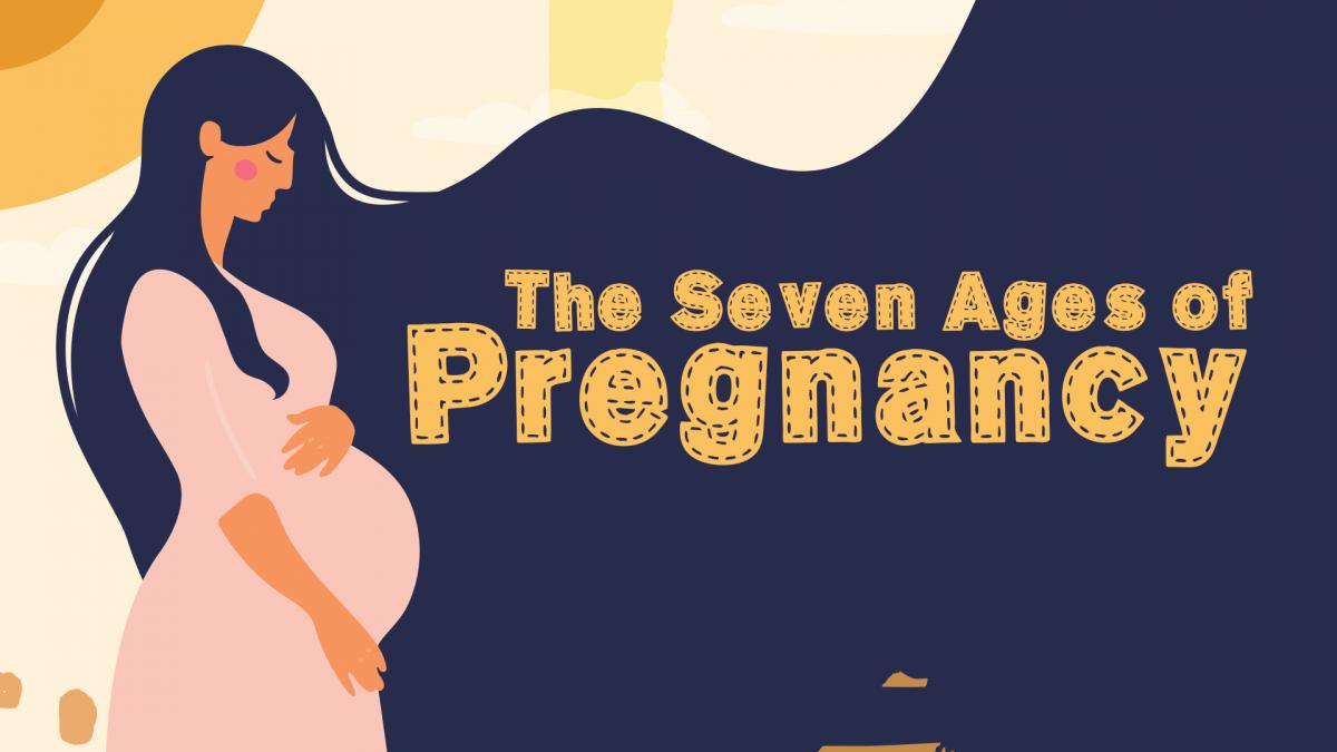 The Seven Ages of Pregnancy