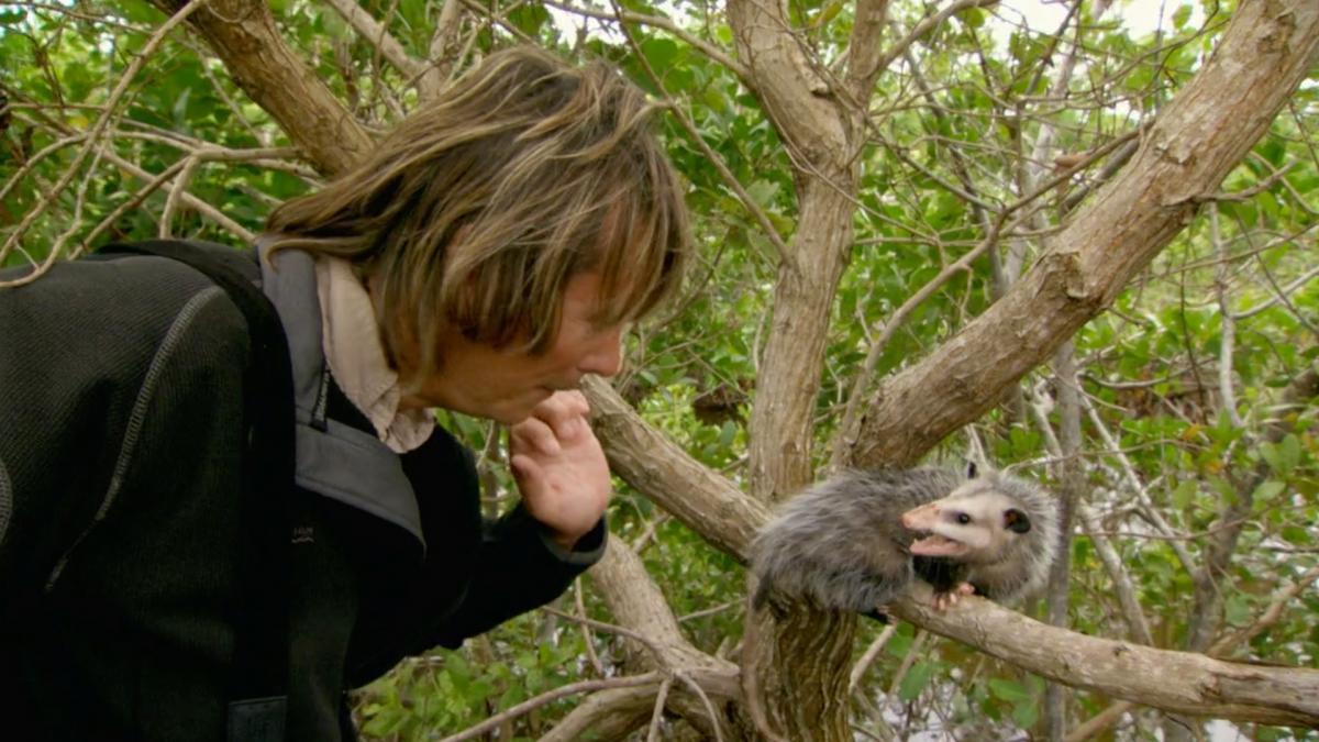Australia's Lost Eden S1EP4