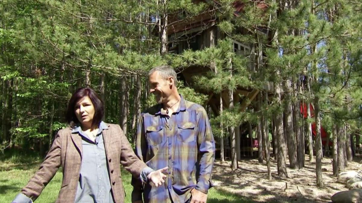 Forest and the Trees