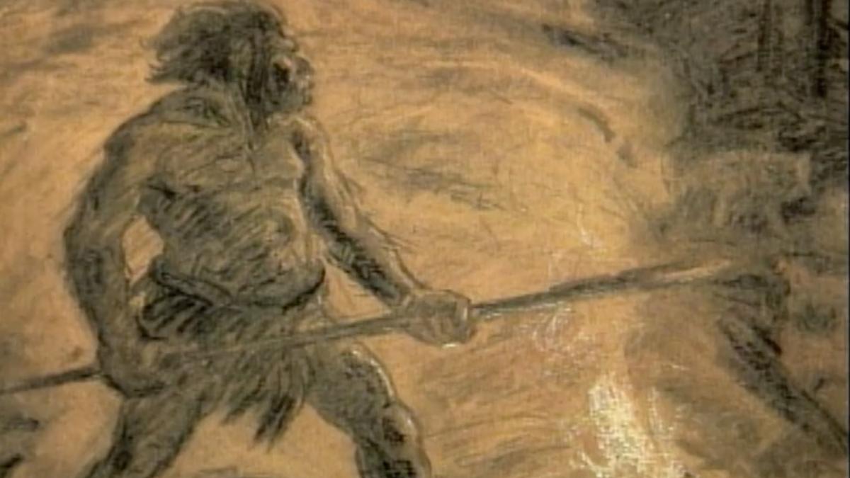 The Search For Neanderthal