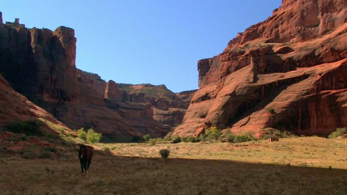 The Southwest: Zion and Canyon de Chelly