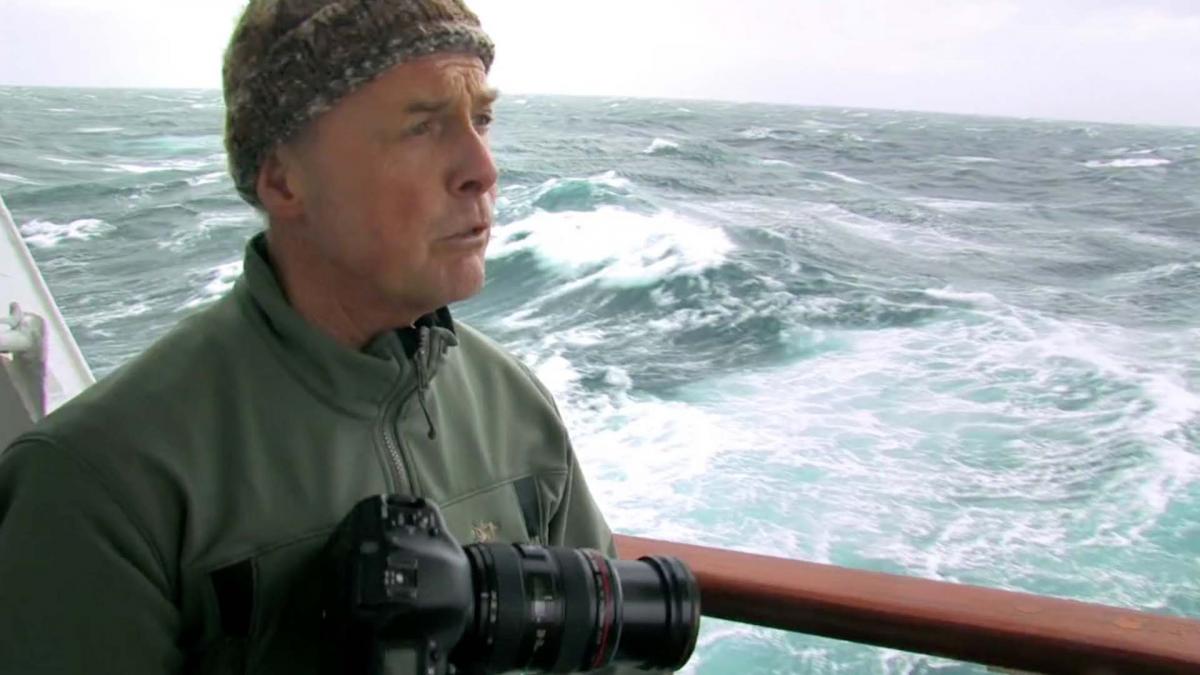 The Southern Ocean: South Georgia Island