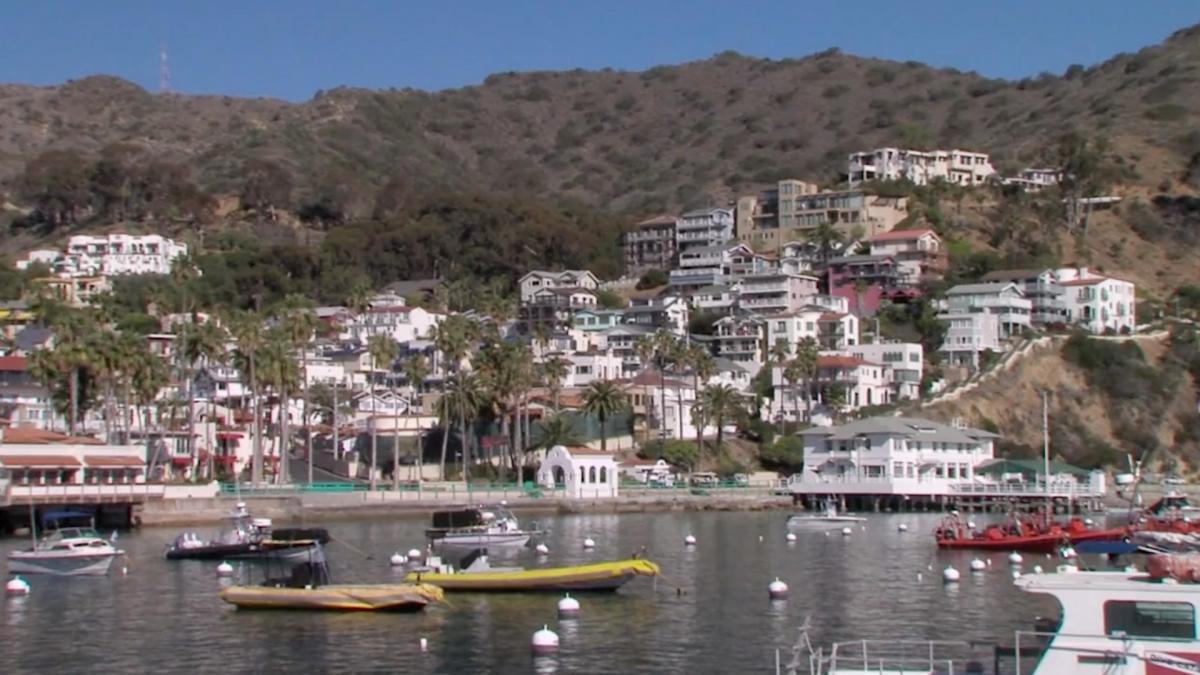 Catalina Island, A Natural History Fairy tale