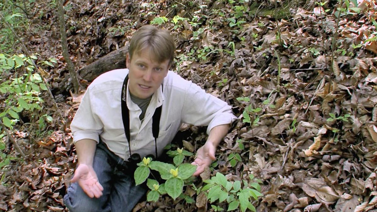 The Clemson Forest - A Backyard Bounty of Life