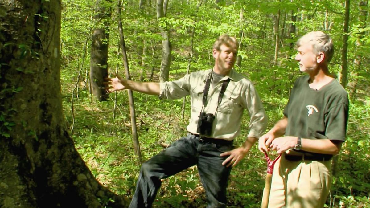 The Clemson Forest - From Tragedy to Triumph